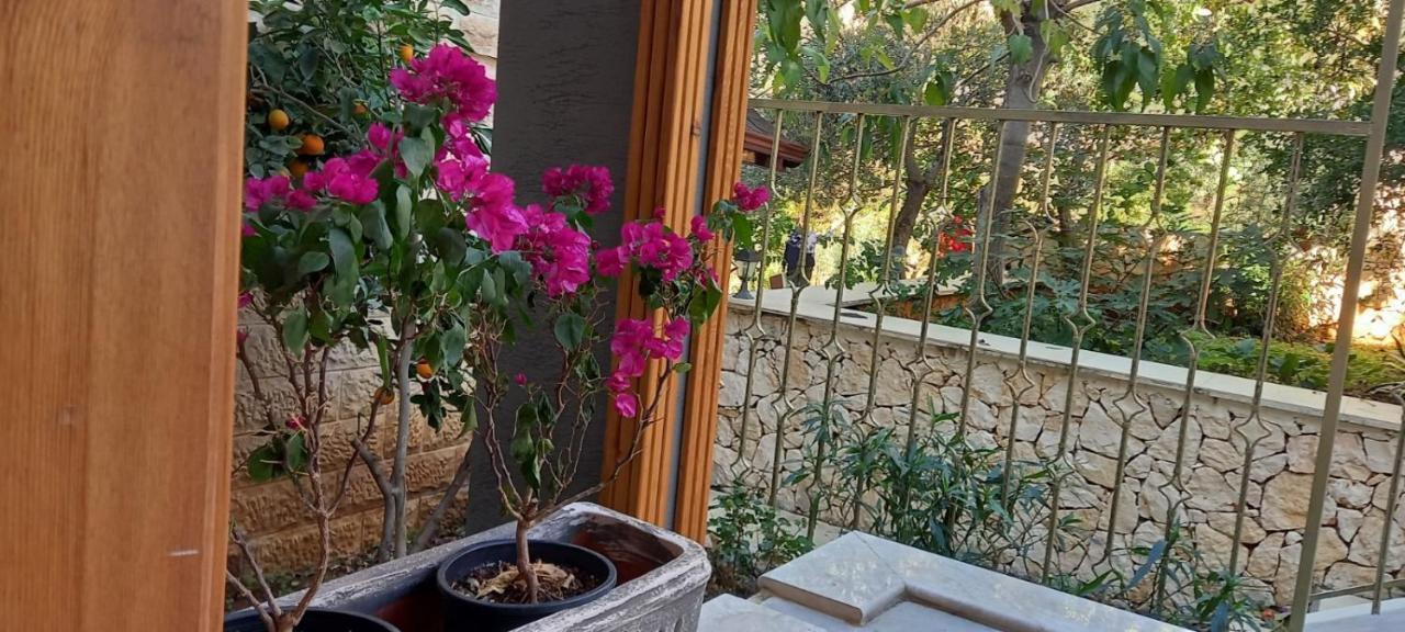 Un Amor Hotel كاس المظهر الخارجي الصورة